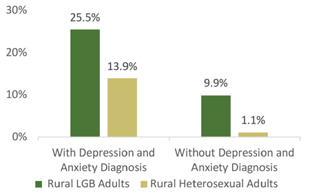 Adults with depression and anxiety diagnosis: Rural LGB 25.5%; Rural heterosexual 13.9%. Without depression and anxiety: Rural LGB 9.9%; Rural heterosexual 1.1%.
